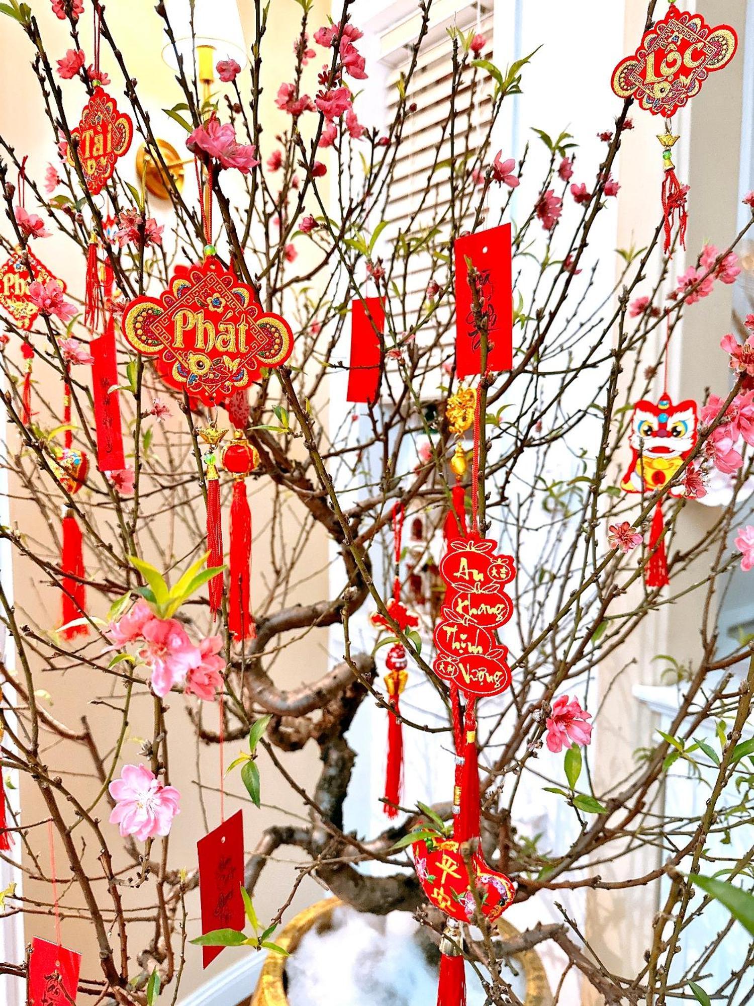 Moon Homestay Thon Kim Long 外观 照片